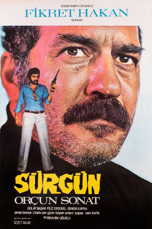 Movie poster for Sürgün (1976)
