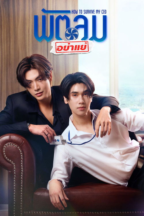 How to Survive My CEO poster