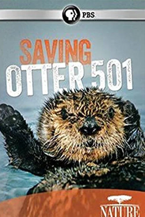 Movie poster for Saving Otter 501 (2013)