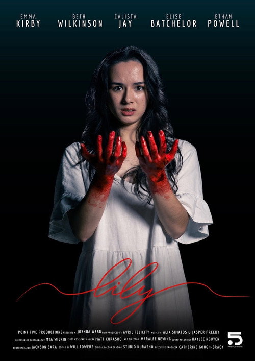 Movie poster for Lily (2025)