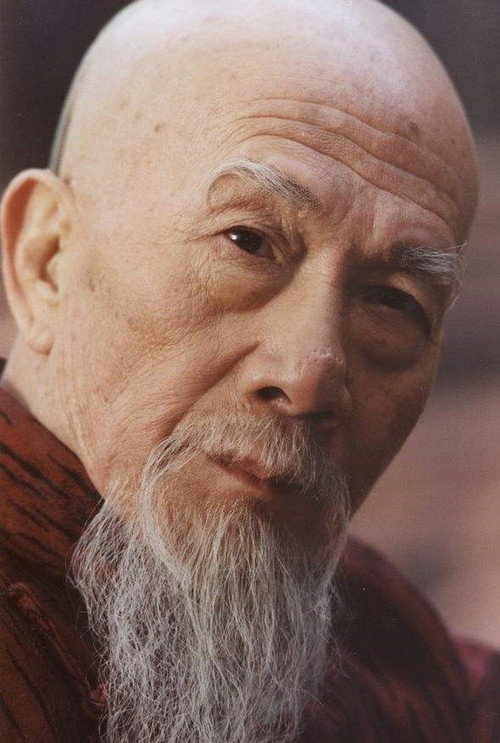 Photo of Wang Bing, Acting