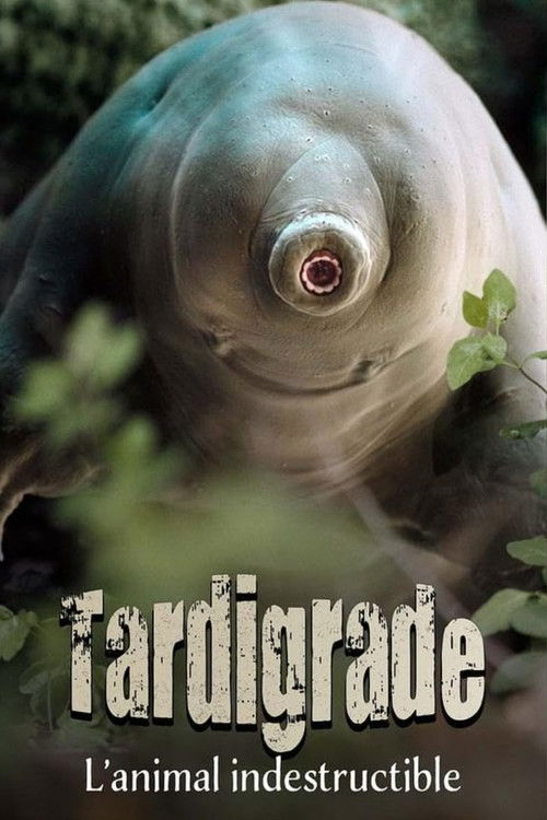 Movie poster for Tardigrade, l'animal indestructible (2025)