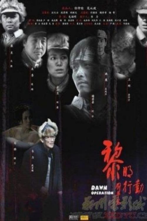 Movie poster for Dawn Operation (2008)