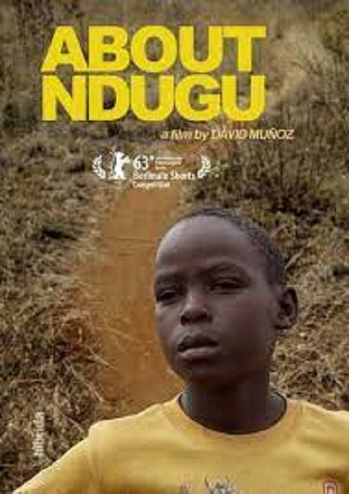 Movie poster for About Ndugu (2013)