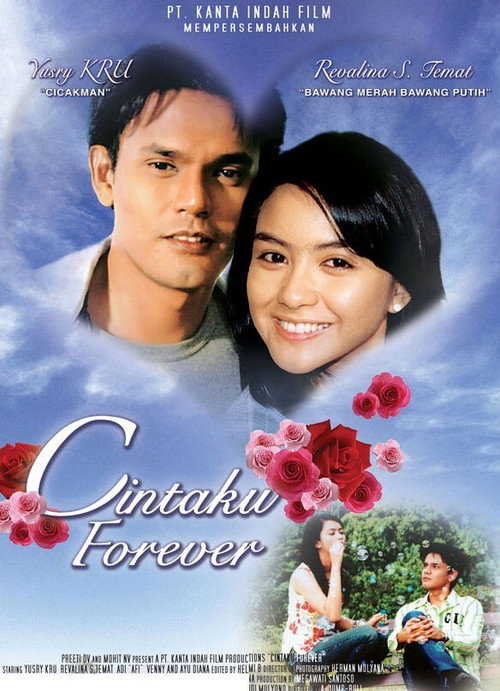 Movie poster for My Love Forever (2007)