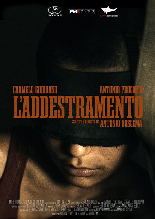 Movie poster for L'addestramento