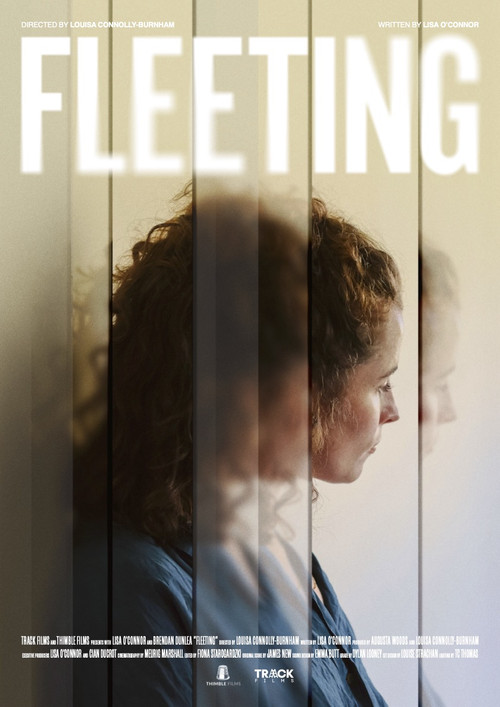 Movie poster for Fleeting (2024)