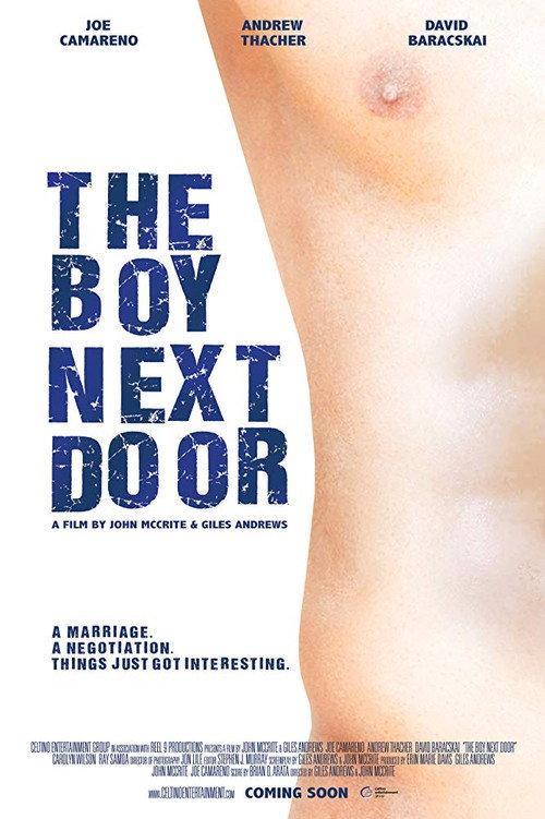 Movie poster for The Boy Next Door (2016)