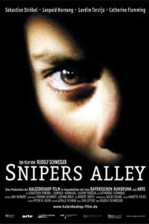 Movie poster for Snipers Alley (2002)