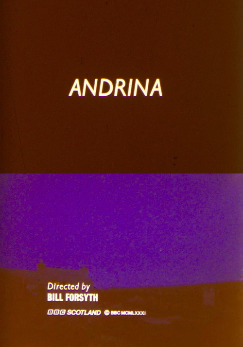 Movie poster for Andrina (1981)