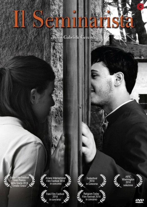 Movie poster for The Seminarian (2013)