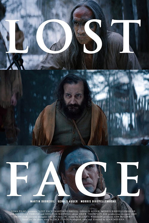 Movie poster for Lost Face (2016)
