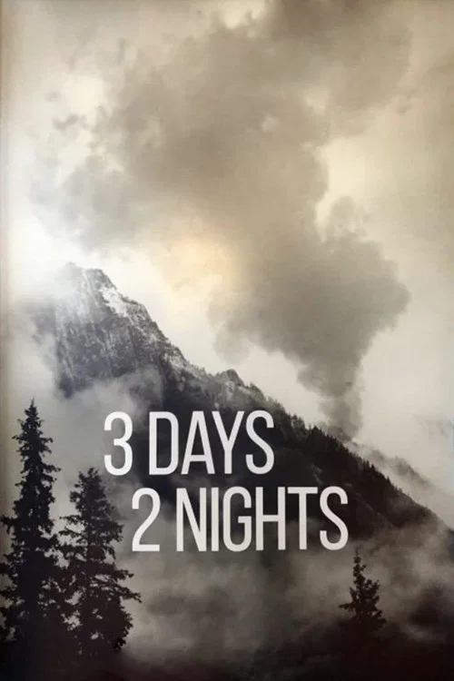 Movie poster for 3 Days 2 Nights (2019)