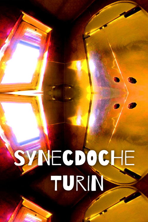 Movie poster for Synecdoche Turin (2020)