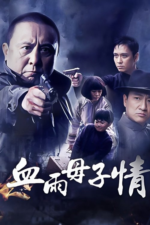 血雨母子情 poster