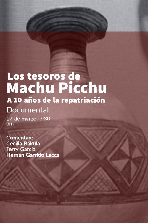 Movie poster for Los tesoros de Machu Picchu (2021)
