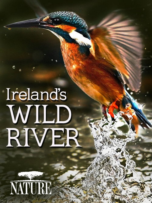 Movie poster for Ireland's Wild River (2014)
