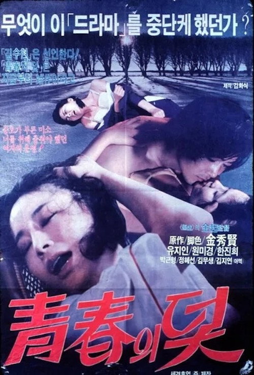 Movie poster for The Trappings of Youth (1979)