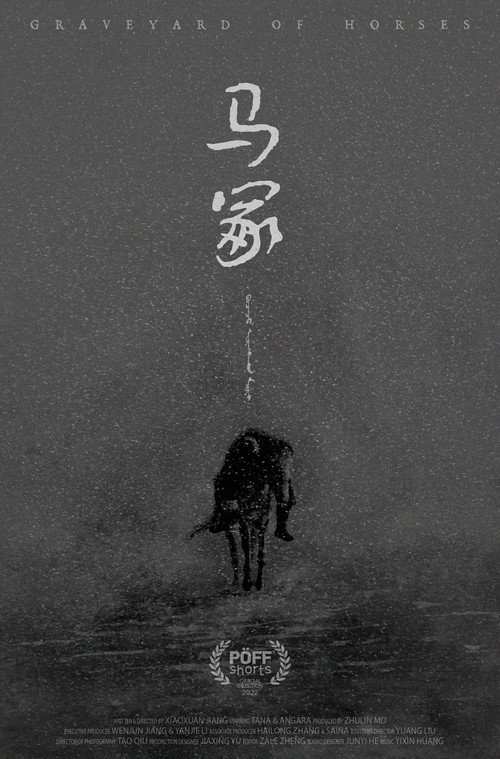 Movie poster for Graveyard of Horses (2022)