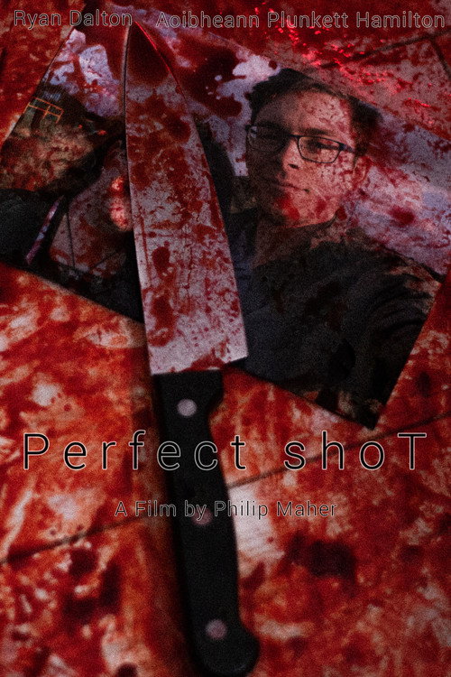 Movie poster for Perfect shoT (2025)