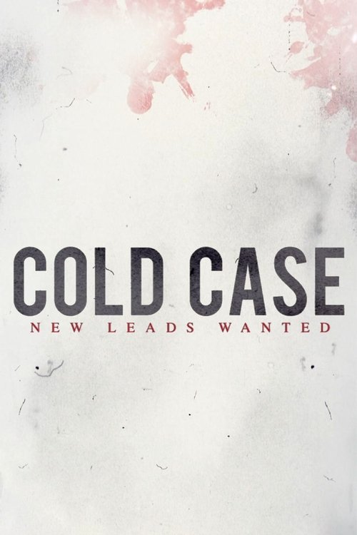 Cold Case poster