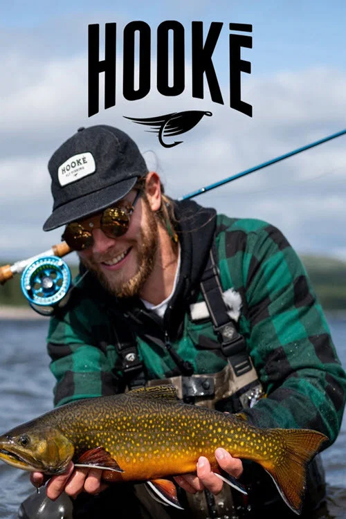 Series poster for Hooké (2016)
