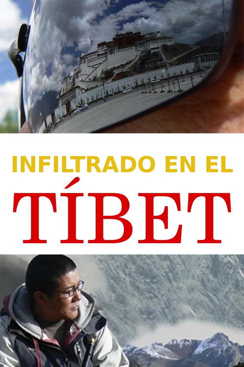 Movie poster for Undercover in Tibet (2008)