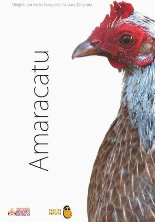 Movie poster for Amaracatu (2015)