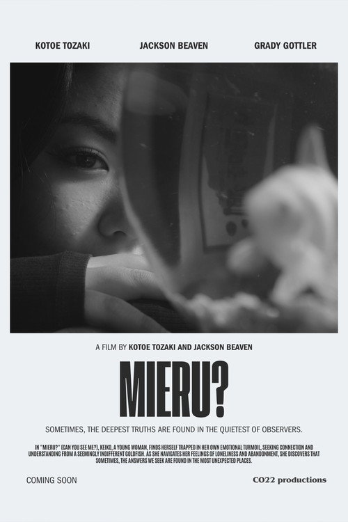 Movie poster for Can you see me?