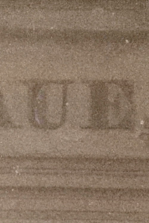 Movie poster for Paulinenaue (2025)