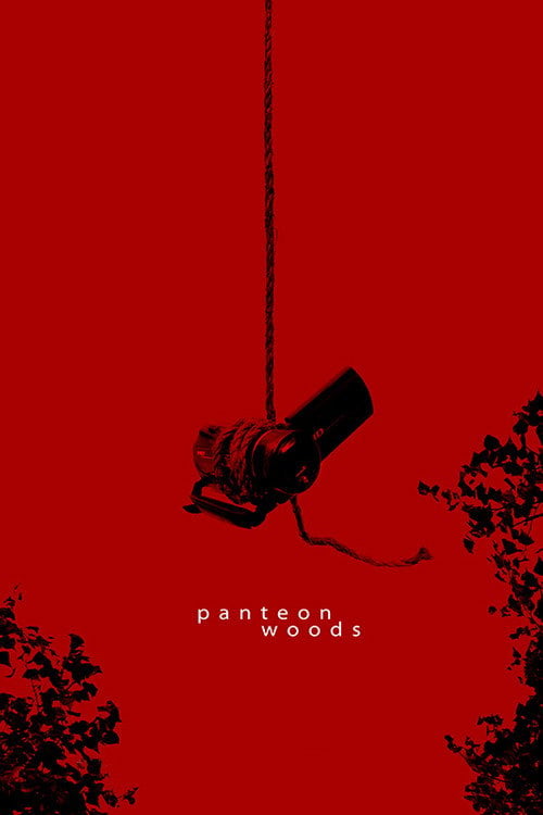 Movie poster for Panteon Woods (2015)