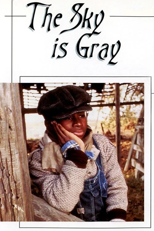 Movie poster for The Sky Is Gray (1980)