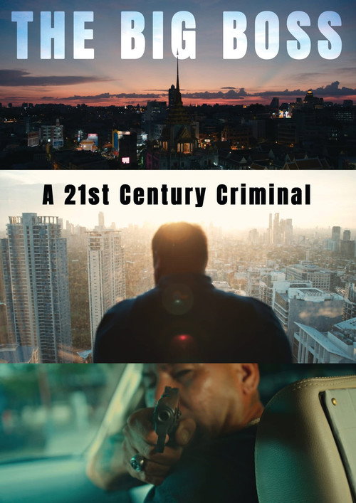 Series poster for The Big Boss: A 21st Century Criminal (2019)