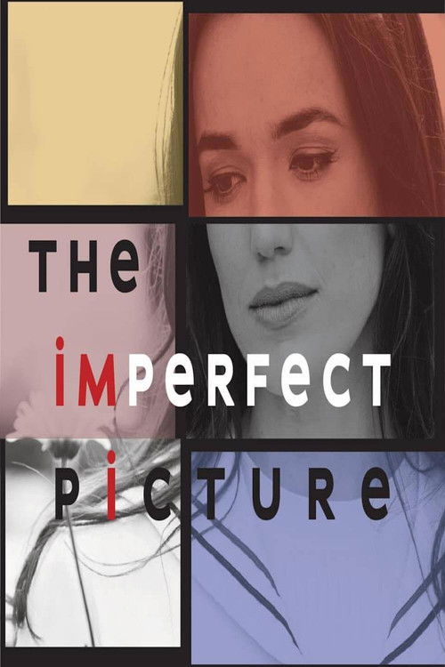 Movie poster for The Imperfect Picture (2021)