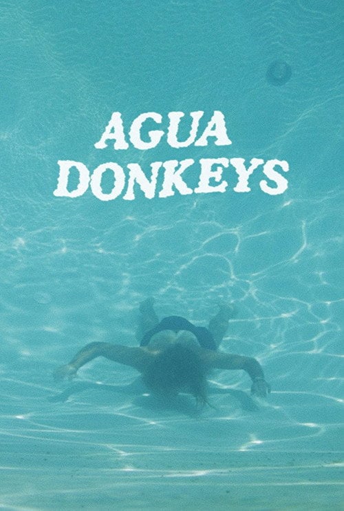 Movie poster for Agua Donkeys (2018)