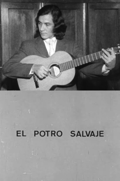 Movie poster for El potro salvaje (1971)