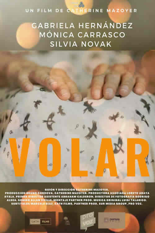Movie poster for Volar (2023)