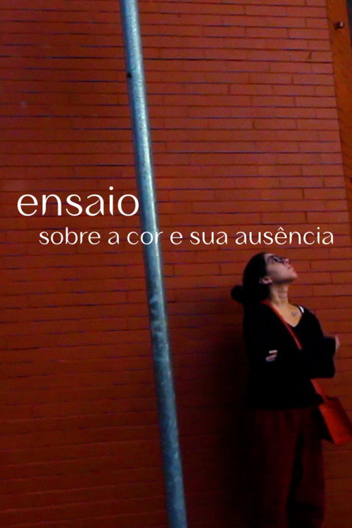 Movie poster for Essay on color and its absence (2022)