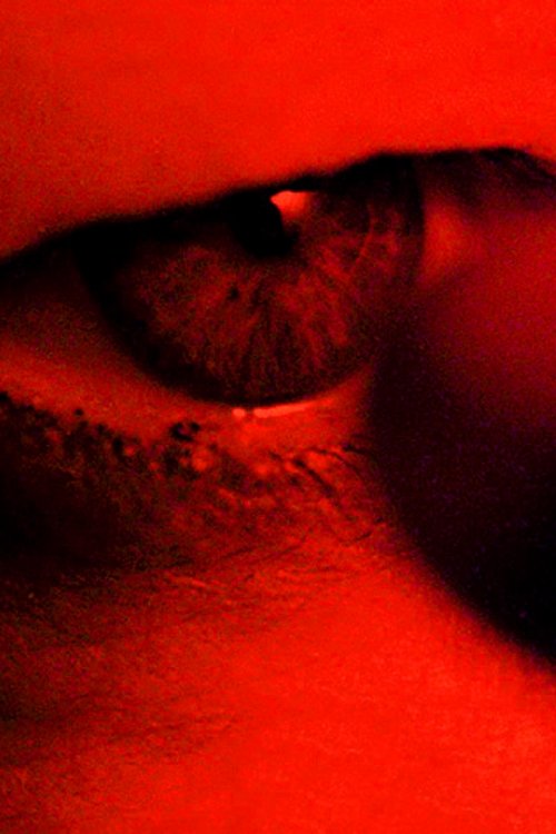 Movie poster for Charlotte (2004)