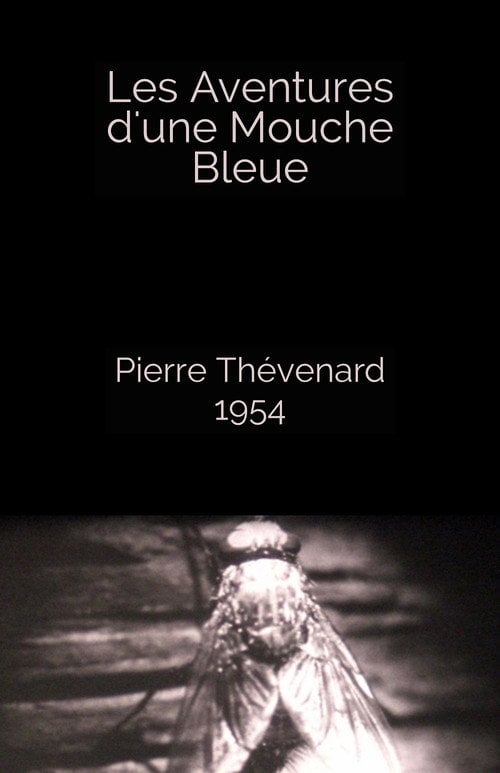 Movie poster for The Adventures of a Blue Fly (1954)