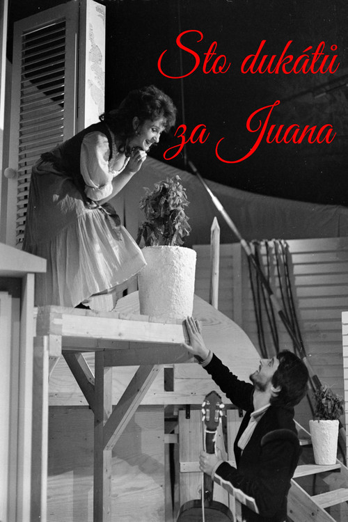 Movie poster for Sto dukátů za Juana (1971)