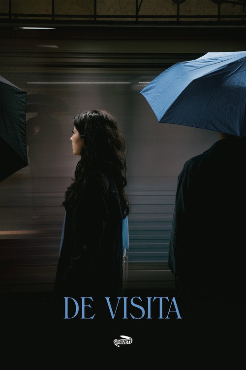 Movie poster for DE VISITA (2024)