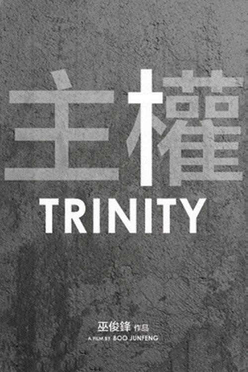 Movie poster for Trinity