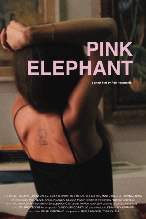 Movie poster for Pink Elephant (2017)