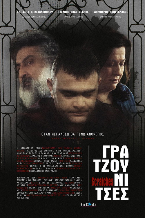 Movie poster for Γρατζουνίτσες (2016)