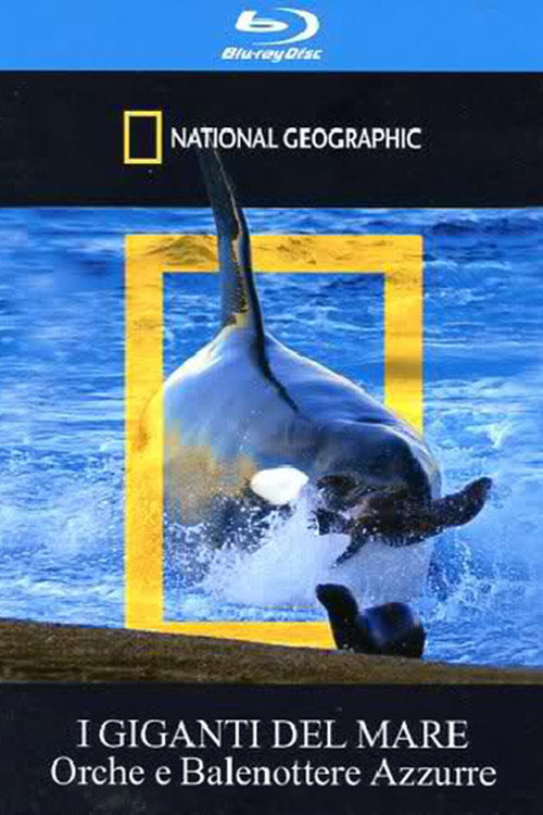 Movie poster for Orca Killing School (2009)