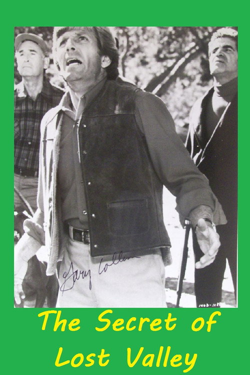 Movie poster for The Secret of Lost Valley (1980)