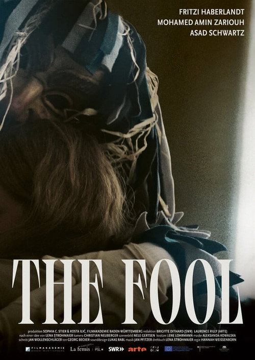 Movie poster for The Fool (2025)