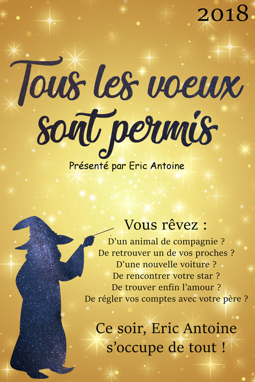 Movie poster for Tous les voeux sont permis avec Eric Antoine (2018)