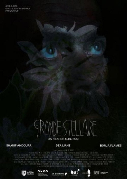 Movie poster for Grande Stellaire (2024)